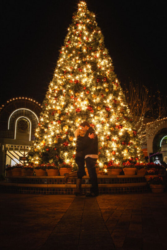 couples-engagement-wedding-photography-13